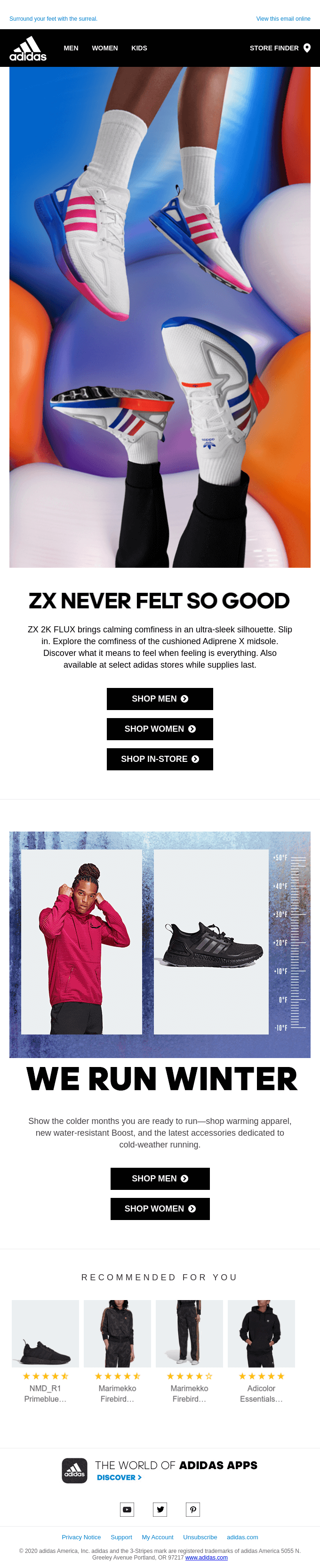 /// Experience the ZX 2K FLUX - Adidas Email Newsletter