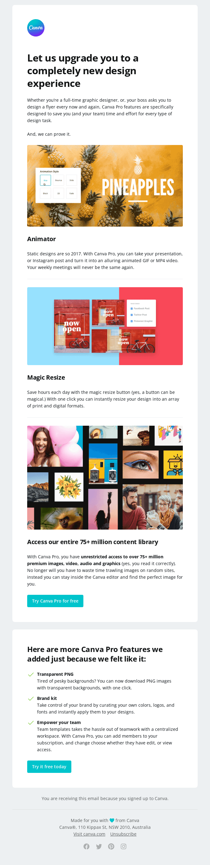 Unlock your access to the best design tools - Canva Email Newsletter